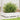 Plantenbak 100x100x26,5 cm massief grenenhout wit