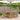 7-delige Tuinset poly rattan en massief hout grijs