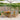 7-delige Tuinset poly rattan en massief hout grijs