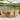 7-delige Tuinset polypropeen en massief hout beige