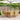 7-delige Tuinset polypropeen en massief hout beige