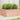 Plantenbak 100x100x46 cm massief douglashout