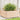 Plantenbak 110x110x49,5 cm massief grenenhout