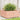 Plantenbak 110x110x49,5 cm massief douglashout