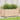 Plantenbak 110x60x49,5 cm massief grenenhout
