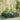 Plantenbak verhoogd 100x100x25 cm staal antracietkleurig
