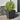 Plantenbakken 2 st 30x30x30 cm staal zwart