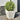 Plantenbakken 2 st 30x30x30 cm staal wit