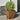 Plantenbakken 2 st 30x30x30 cm weervast staal