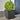 Plantenbakken 2 st 50x50x50 cm staal zwart