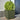 Plantenbakken 2 st 50x50x50 cm staal olijfgroen