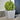 Plantenbakken 2 st 50x50x50 cm gegalvaniseerd staal