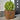 Plantenbakken 2 st 50x50x50 cm weervast staal