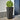 Plantenbakken 2 st 35x35x75 cm staal zwart
