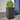 Plantenbakken 2 st 45x45x75 cm staal zwart
