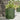 Plantenbak zeshoek 46x40x45 cm staal olijfgroen