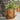 Plantenbakken 2 st zeshoek 46x40x45 cm weervast staal