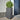 Plantenbakken 2 st driehoek 50x43x75 cm staal antracietkleurig