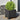 Plantenbakken 2 st 30x30x30 cm staal zwart
