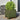 Plantenbakken 2 st 30x30x30 cm staal olijfgroen