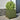Plantenbakken 2 st 40x40x40 cm staal olijfgroen