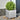 Plantenbakken 2 st 40x40x40 cm gegalvaniseerd staal