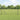 Hecke met palen Grijs 1 x 10 m Staal