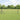 Hecke met palen Grijs 0.4 x 10 m Staal