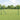 Hecke met palen Grijs 1 x 25 m Staal
