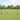 Hecke met palen Grijs 1 x 10 m Staal