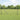 Hecke met palen Grijs 1.4 x 10 m Staal