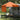 Pop-up Luifel Tent Oranje 200 x 200 cm Stof