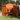 Pop-up Luifel Tent Oranje 250 x 250 cm Stof