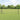 Hecke met palen Grijs 0,5 x 10 m PVC-gecoat staal