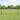 Hecke met palen Grijs 1 x 10 m PVC-gecoat staal