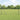 Hecke met palen Grijs 1 x 10 m PVC-gecoat staal