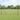 Hecke met palen Grijs 1 x 10 m PVC-gecoat staal