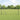 Hecke met palen Grijs 1 x 10 m PVC-gecoat staal