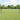 Hecke met palen Grijs 0,5 x 25 m PVC-gecoat staal