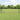 Hecke met palen Grijs 0,5 x 50 m PVC-gecoat staal