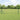 Hecke met palen Grijs 0,5 x 50 m PVC-gecoat staal