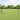 Hecke met palen Grijs 0,5 x 50 m PVC-gecoat staal