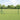 Hecke met palen Grijs 0.6 x 50 m PVC-gecoat staal