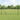 Hecke met palen Grijs 1 x 50 m PVC-gecoat staal