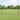 Hecke met palen Grijs 1 x 50 m PVC-gecoat staal