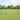 Hecke met palen Grijs 1 x 50 m PVC-gecoat staal