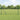 Hecke met palen Grijs 1 x 100 m PVC-gecoat staal
