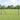 Hecke met palen Grijs 1 x 100 m PVC-gecoat staal