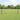 Hecke met palen Grijs 0,5 x 10 m PVC-gecoat staal