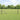 Hecke met palen Grijs 0,5 x 10 m PVC-gecoat staal